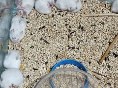 -万达广场(南京江宁店)