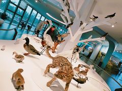 -漩门湾国家湿地公园