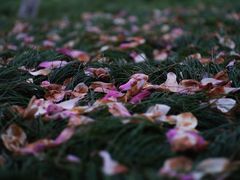 -白塘生态植物园