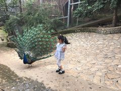 -燕塞湖鸟语林景区