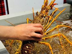 -万龙洲海鲜(南新仓店)