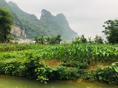 -明仕田园