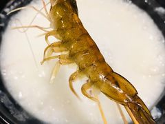 -盈田盈粥庄(博山东路店)
