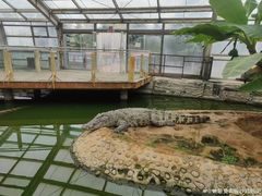 -石家庄市动物园