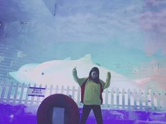 -世界之窗阿尔卑斯冰雪世界