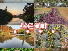 -云溪植物园