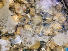 -驻海渔市(置信店)