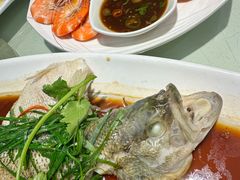 -南庄酒家·海鲜粤菜·25年老字号(环城南路店)