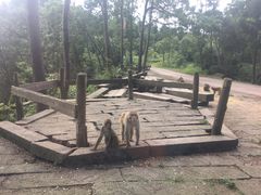 -重庆雨台山风景区