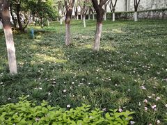 -西安市长乐公园