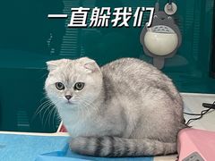-美迦爱动物医院·夜诊(朝阳路诊疗中心)
