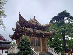 -上海东林寺(金山区)