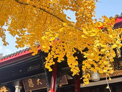 -上海柏悦酒店