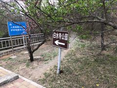 -白水寺森林公园