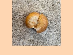 紅豆奶酪麵包-OUR Bakery(三里屯太古里店)
