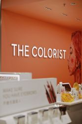 -THE COLORIST调色师