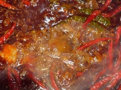 -蜀大侠火锅(总府路店)