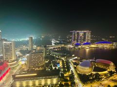 -新加坡瑞士史丹福酒店