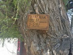 -暖泉古镇