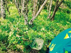 -白草畔自然风景区