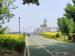 -长白岛森林公园