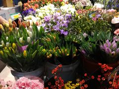 -双季花艺园艺市场(浦东店)