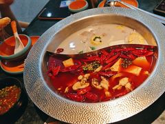 -麻田会 ·鲜活现烹·牛蛙火锅(珠江新城维家思广场店)