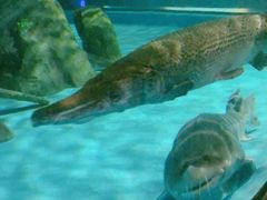 -常州海昌海洋探索馆