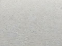 -奉贤海滩