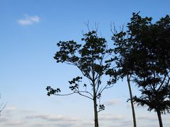 -青岛金沙滩