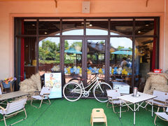 -浦鸿会游泳健身中心·Ambassy Club PD(金桥碧云国际社区店)