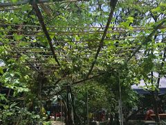 -小蜜蜂团建自助烧烤场(小洲村店)