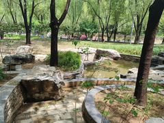-南长河公园