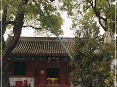 -白云观