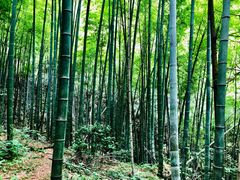 -崀山风景名胜区