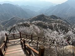 -大岭沟猕猴桃谷风景区