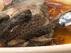 -新兴家喻酒家·羊城名宴(昌岗店)