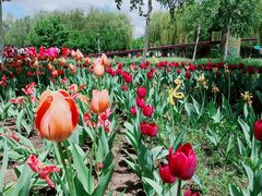 -长春公园(普阳街道)