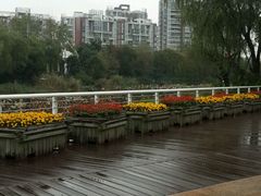 -新江湾城公园