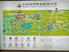 -上海海湾国家森林公园