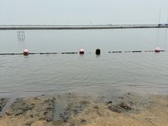 -碧海金沙