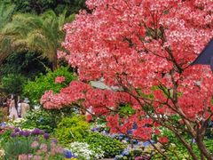 -深圳仙湖植物园