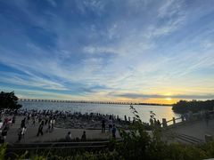 -宝安西湾红树林湿地公园