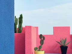 -漳州滨海火山岛自然生态风景区