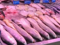 -新隆嘉生鲜超市(北二经街店)
