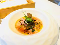 -蝶舍·MAISON PAPILLON