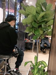 -一東造型烫发染发