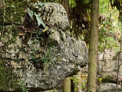 -梭布垭石林景区