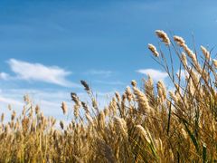 -亿利库布其七星湖沙漠生态旅游区