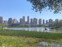 -洋湖国家湿地公园